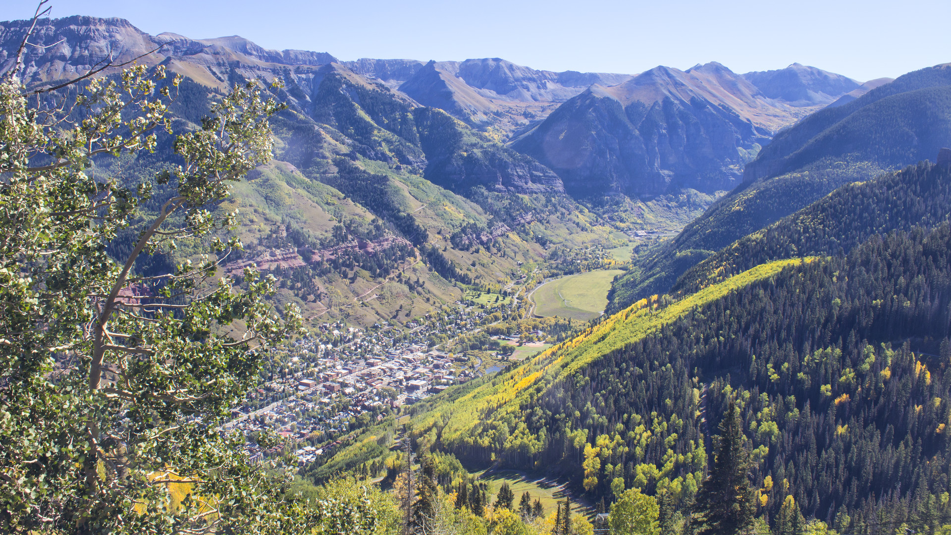 The Leaves are Changing FAST! | Visit Telluride