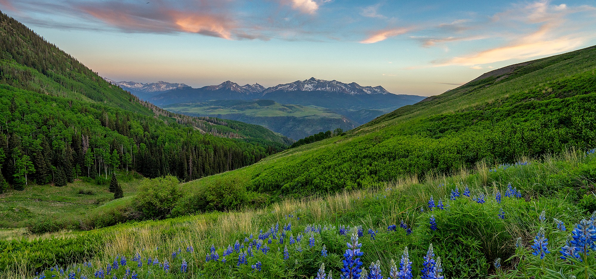 Request Visitor Guide Success | Visit Telluride