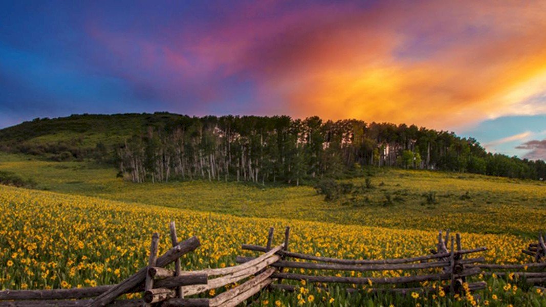 Ryan Bonneau Photography Visit Telluride