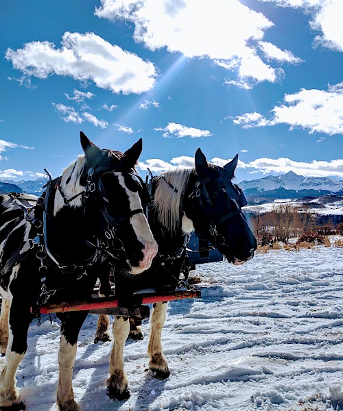 Telluride Sleighs and Wagons