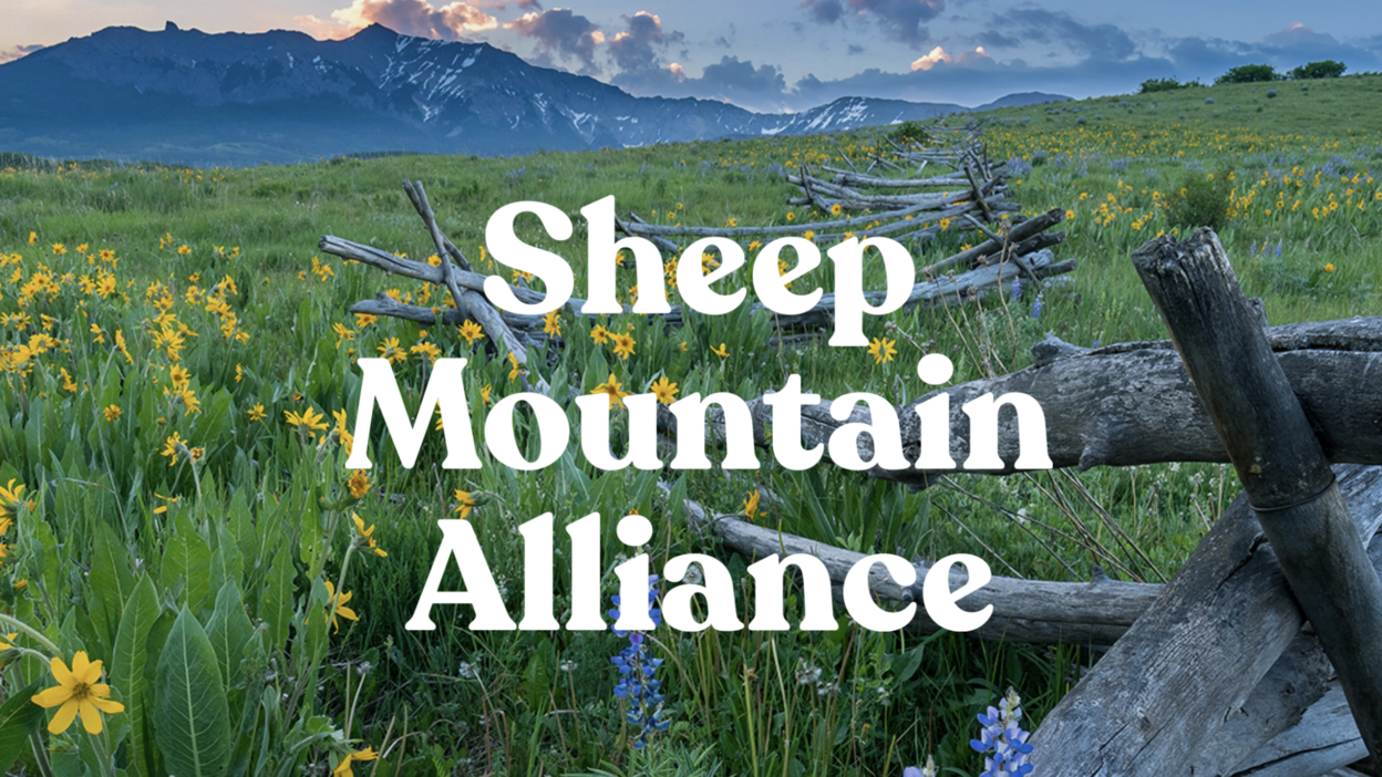 Sheep Mountain Alliance