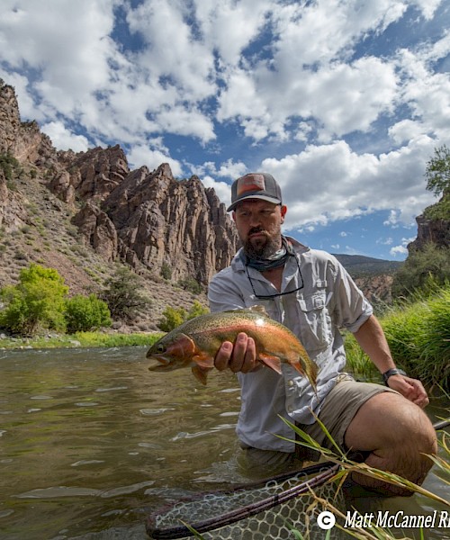 Where to Fly Fish on the Colorado River, CO (Maps, Flies and Way More) -  Guide Recommended