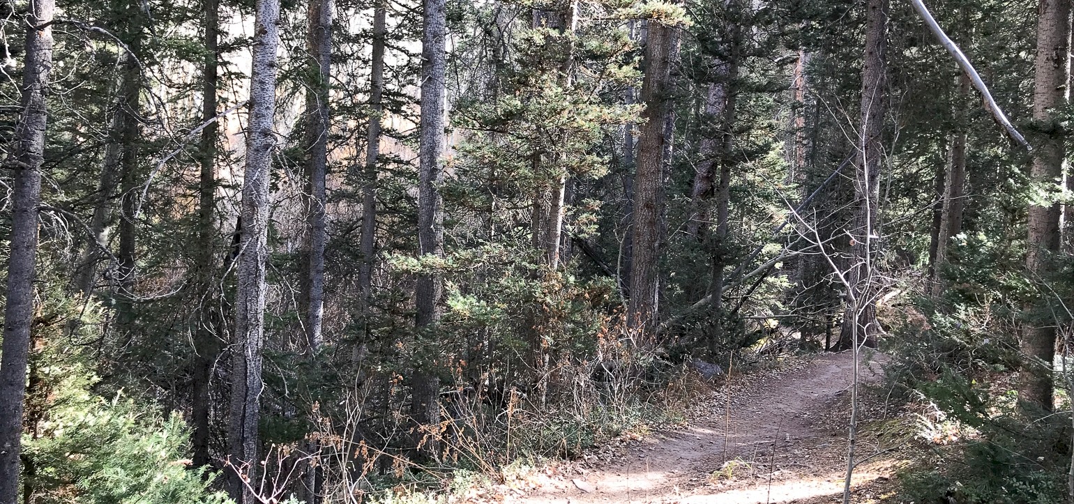 Eider Creek Trail