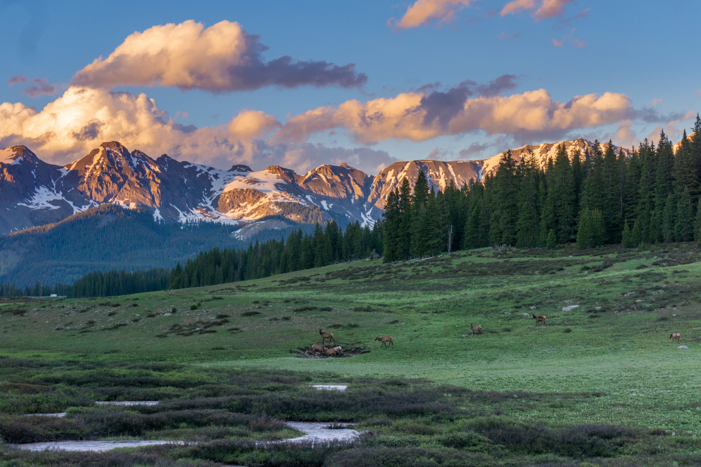 10 Things to Love about Mountain Village, Colorado in the Summer