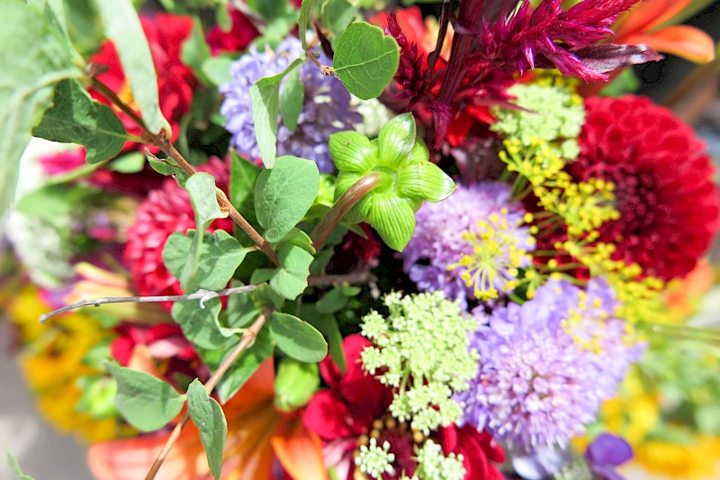 Telluride Farmers' Market