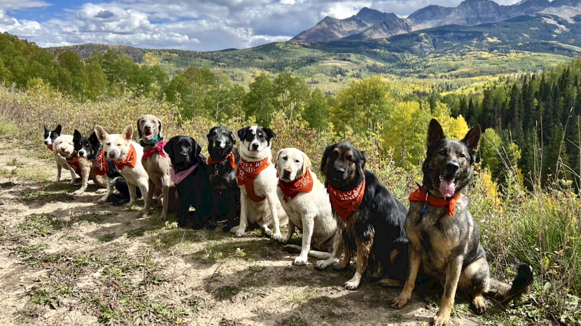 k9 adventure treks