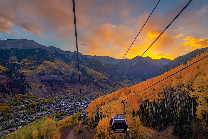 Golden Gondola