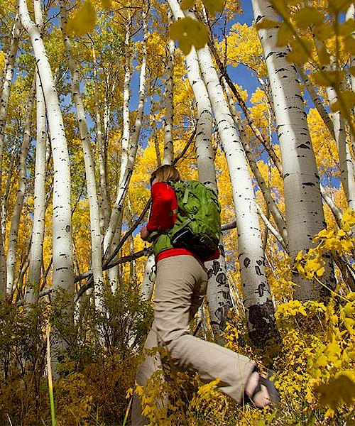 Mill Creek Waterline Trail