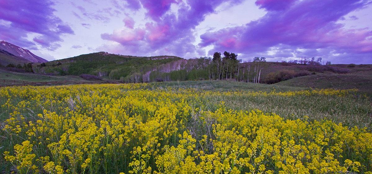 Lizard Head Trail